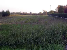 Un terreno che fa parte della maxi area attorno a villa Franchetti