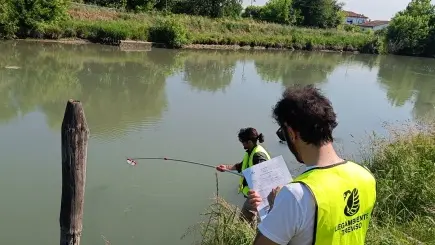I volontari di Legambiente hanno monitorato lo stato di salute del fiume Livenza