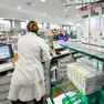 Impennata di influenza a Treviso