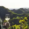 Buone le vendite del Prosecco anche negli Usa nei primi mesi del 2025