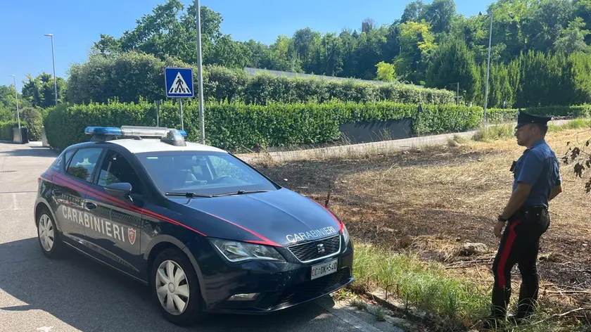 L'area incolta di via Monte Peralba date alle fiamme dal piromane
