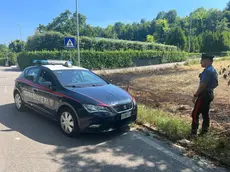 L'area incolta di via Monte Peralba date alle fiamme dal piromane