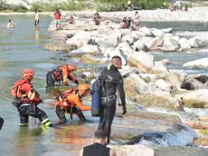 Il Piave non è balneabile ma l'avviso è scritto solo in italiano