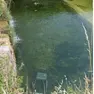 Il carrello della spesa gettato nel torrente Carron