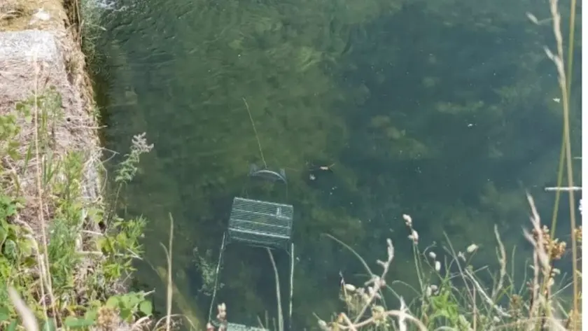 Il carrello della spesa gettato nel torrente Carron
