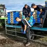 Agricoltura, corsa ai fondi regionali