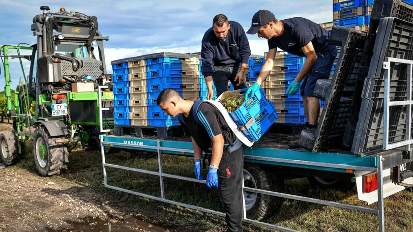 Agricoltura, corsa ai fondi regionali