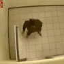Un’immagine catturata allora dal sistema di videosorveglianza che vede Meran muoversi all’interno della Questura dopo aver ucciso i due agenti