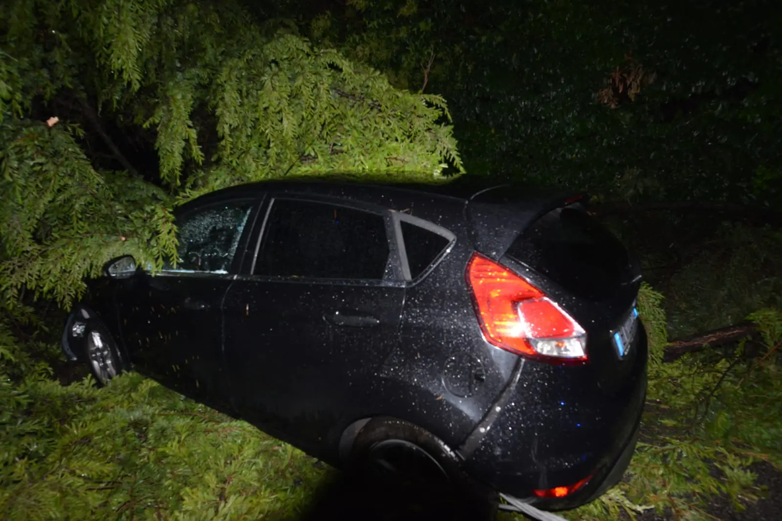L'auto finita sotto un pino e un palo della luce a Mareno, illeso il conducente (foto Cavicchi)