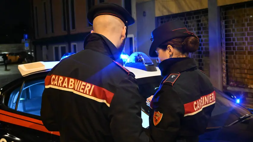 Quattro denunciati dai carabinieri del Noe