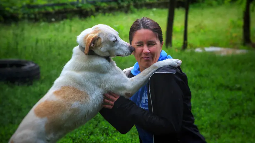 Ponzano, nasce Ladyland: la casa di riposo per cani anziani grazie a Enpa Treviso