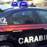 L'uomo è stato denunciato per l'aggressione alla coppia e i maltrattamenti al cane
