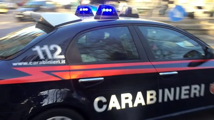 L'uomo è stato denunciato per l'aggressione alla coppia e i maltrattamenti al cane