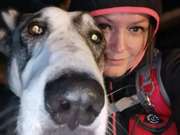 Asia, il cane eroe ucciso con una polpetta avvelenata: “Mi ha salvato la vita due volte”
