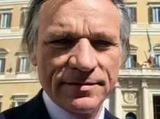 Flavio Zanarella, l'imprenditore finito ai domiciliari