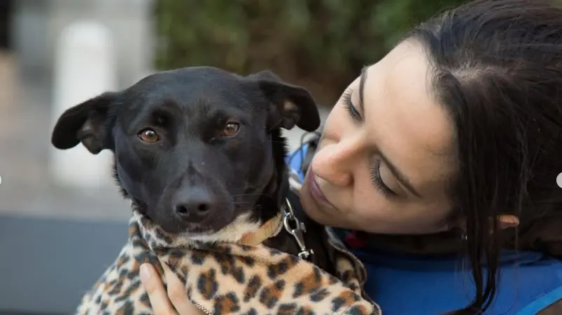 Laura Campagnaro, oss al Ca' Foncello e volontaria Oipa: è morta a 36 anni