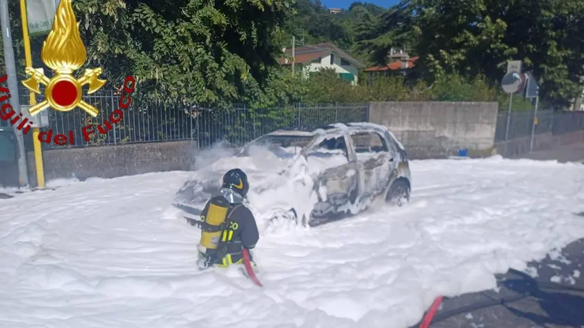 I vigili del fuoco durante le operazioni di spegnimento del rogo
