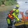 L'intervento dei vigili del fuoco per salvare il cane bloccato nel Piave