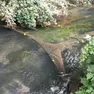 La rete da pesca abusiva nel Negrisia a Cimadolmo