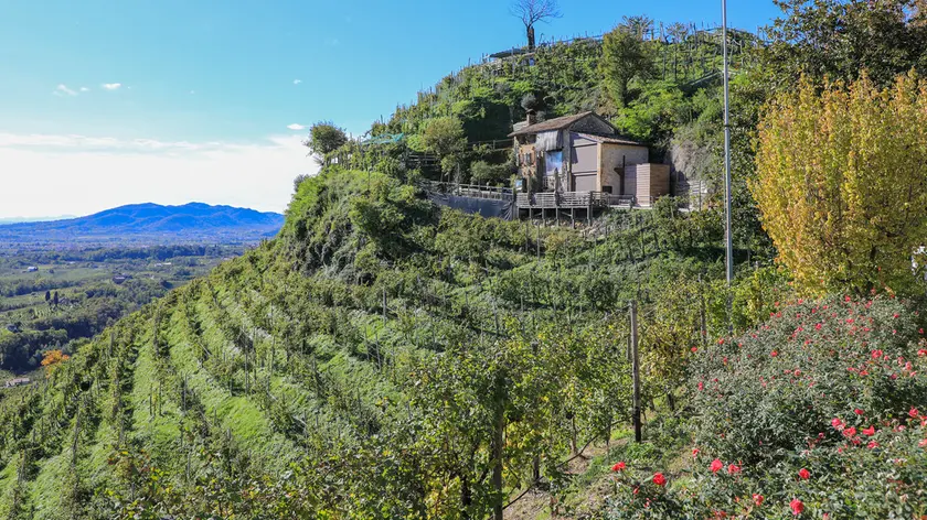 Nome 'prosecco' su cosmetici, bloccati in Polonia prodotti Usa