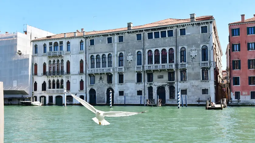 Palazzo Volpi