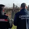 Un controllo dei carabinieri per la tutela del lavoro