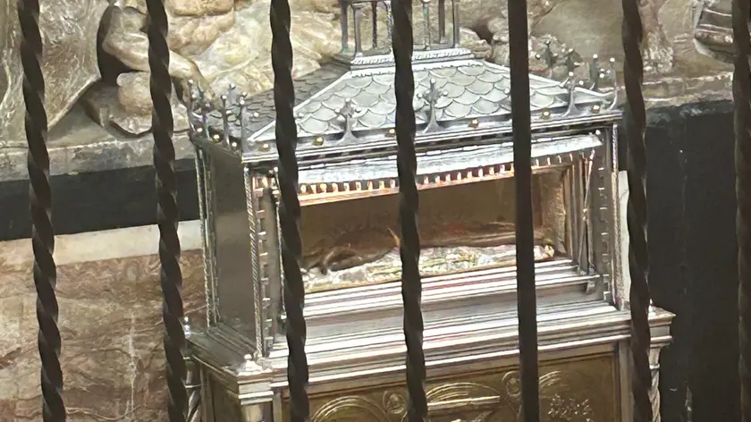 La teca con l'avambraccio