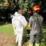 Il sopralluogo dei vigili del fuoco nel luogo della tragedia