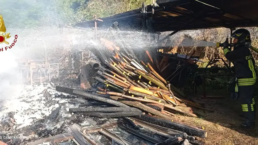 L'incendio nell'allevamento di Miane