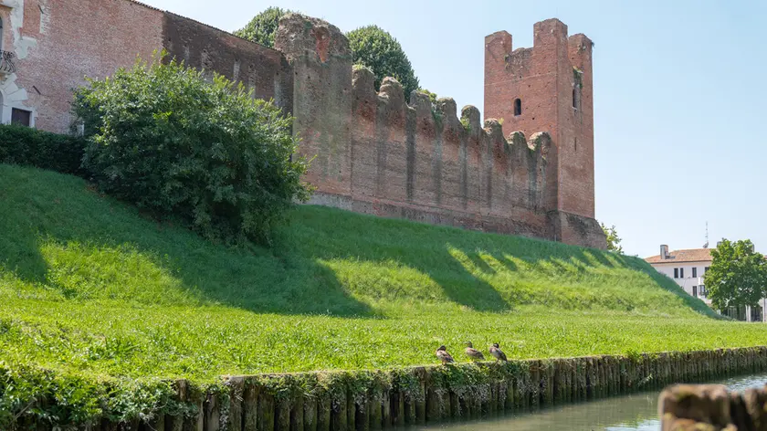 Le mura di Castelfranco