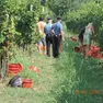 Controlli dei carabinieri durante la vendemmia