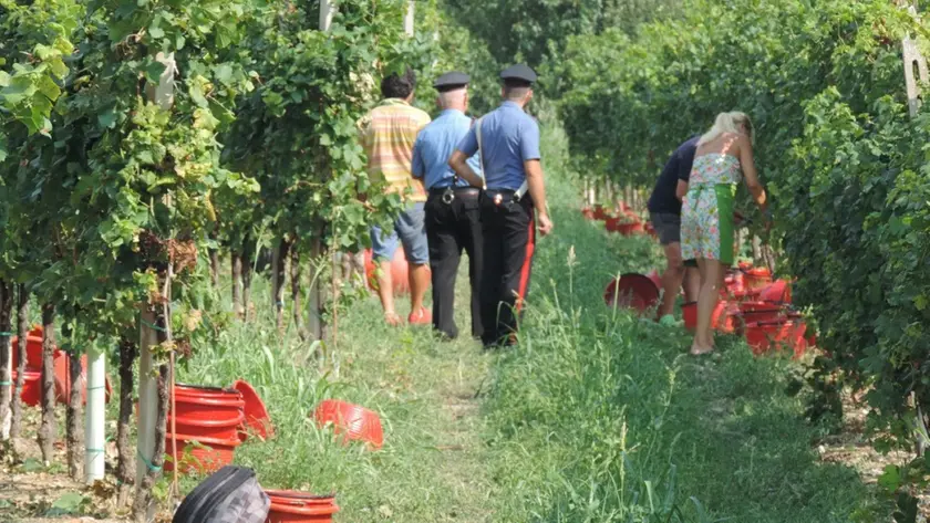 Controlli dei carabinieri durante la vendemmia