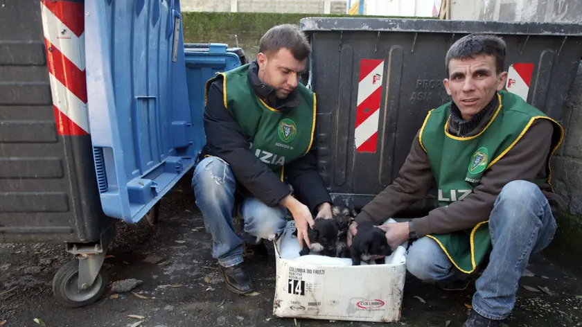 Volontari impegnati nella presa in carico di animali ritrovati dopo l’abbandono