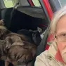 Danilo Furlanetto, l'uomo che viveva in auto con i suoi 5 cani, è morto a 59 anni
