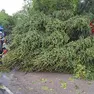 Un intervento dei vigili del fuoco a Castelfranco