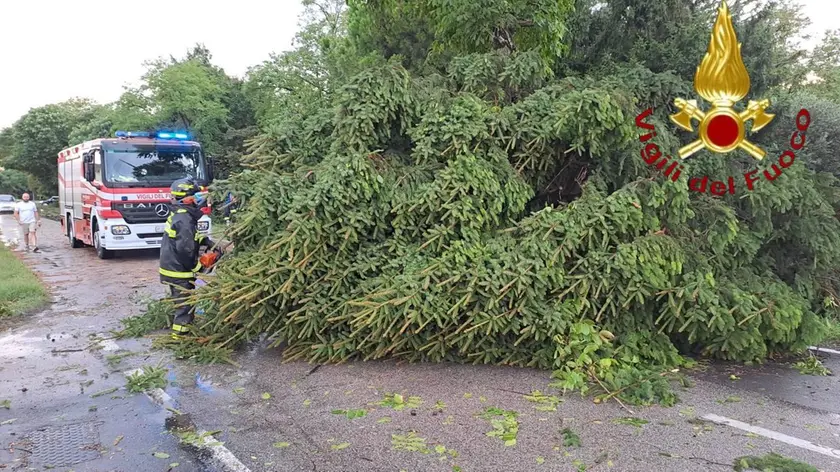 Un intervento dei vigili del fuoco a Castelfranco