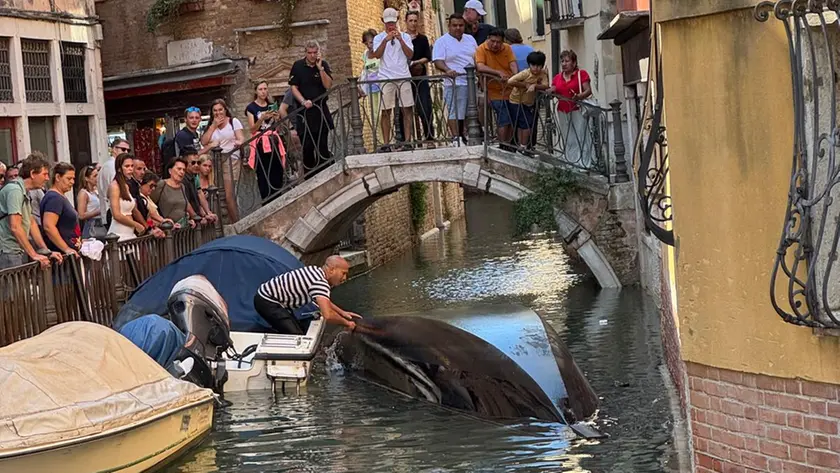 La gondola rovesciata a Venezia