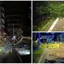 Maltempo, alberi abbattuti dal vento nei quartieri di Treviso