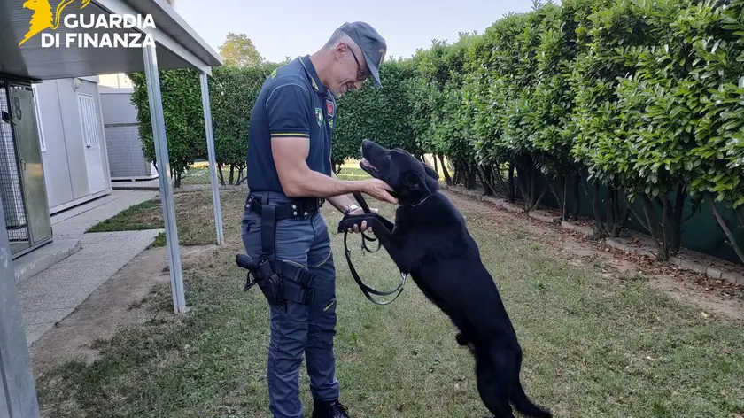 Il cane antidroga Escor con il suo conduttore