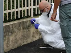 I rilievi sul luogo dell'accoltellamento (foto Pòrcile)