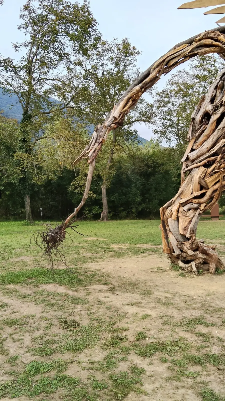 Un dettaglio della coda del leone