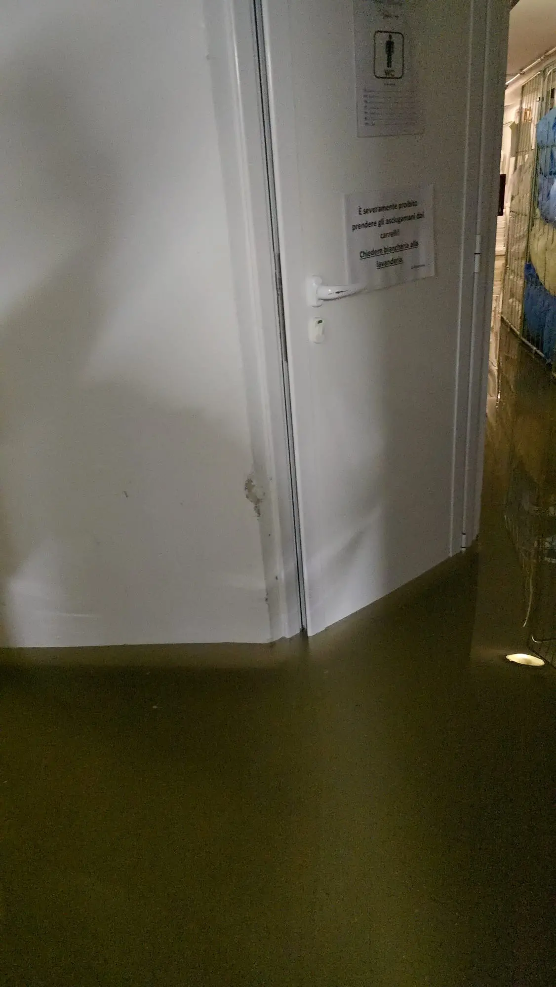 Le piogge intense delle prime ore del mattino hanno colpito duramente la costa friulana, in particolare la zona di Lignano Riviera. La situazione più critica si è registrata lungo via Casablanca, dove l’acqua ha invaso la carreggiata creando notevoli disagi alla circolazione. Tra le strutture coinvolte c’è anche l’Hotel Arizona, sommerso dall’acqua come documentano le immagini giunte in redazione. L’ondata di maltempo, che interessa tutta la regione sotto allerta arancione, non ha risparmiato nemmeno Bibione, dove si segnalano allagamenti e danni a esercizi e abitazioni private.