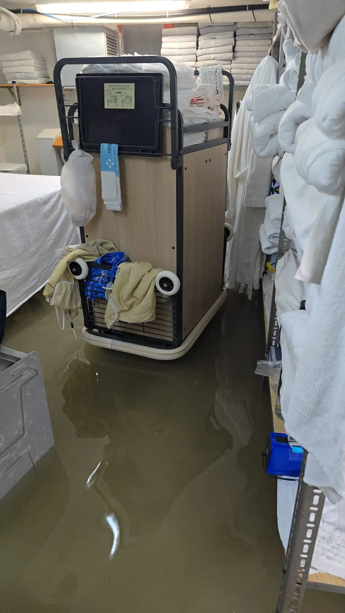 Le piogge intense delle prime ore del mattino hanno colpito duramente la costa friulana, in particolare la zona di Lignano Riviera. La situazione più critica si è registrata lungo via Casablanca, dove l’acqua ha invaso la carreggiata creando notevoli disagi alla circolazione. Tra le strutture coinvolte c’è anche l’Hotel Arizona, sommerso dall’acqua come documentano le immagini giunte in redazione. L’ondata di maltempo, che interessa tutta la regione sotto allerta arancione, non ha risparmiato nemmeno Bibione, dove si segnalano allagamenti e danni a esercizi e abitazioni private.