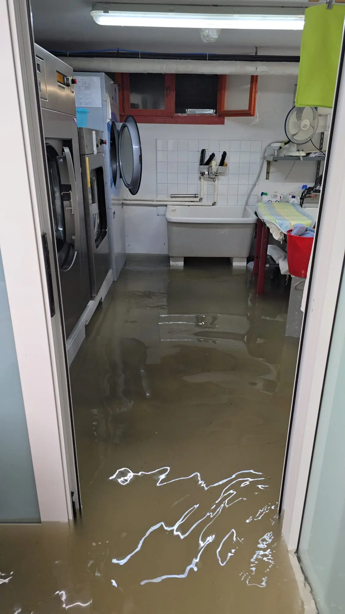 Le piogge intense delle prime ore del mattino hanno colpito duramente la costa friulana, in particolare la zona di Lignano Riviera. La situazione più critica si è registrata lungo via Casablanca, dove l’acqua ha invaso la carreggiata creando notevoli disagi alla circolazione. Tra le strutture coinvolte c’è anche l’Hotel Arizona, sommerso dall’acqua come documentano le immagini giunte in redazione. L’ondata di maltempo, che interessa tutta la regione sotto allerta arancione, non ha risparmiato nemmeno Bibione, dove si segnalano allagamenti e danni a esercizi e abitazioni private.