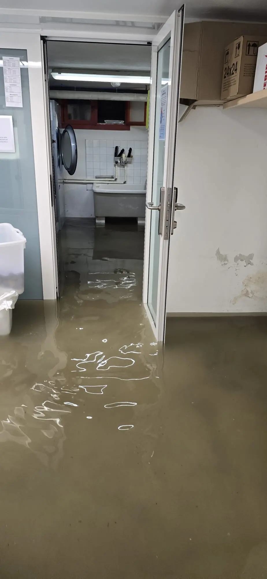 Le piogge intense delle prime ore del mattino hanno colpito duramente la costa friulana, in particolare la zona di Lignano Riviera. La situazione più critica si è registrata lungo via Casablanca, dove l’acqua ha invaso la carreggiata creando notevoli disagi alla circolazione. Tra le strutture coinvolte c’è anche l’Hotel Arizona, sommerso dall’acqua come documentano le immagini giunte in redazione. L’ondata di maltempo, che interessa tutta la regione sotto allerta arancione, non ha risparmiato nemmeno Bibione, dove si segnalano allagamenti e danni a esercizi e abitazioni private.