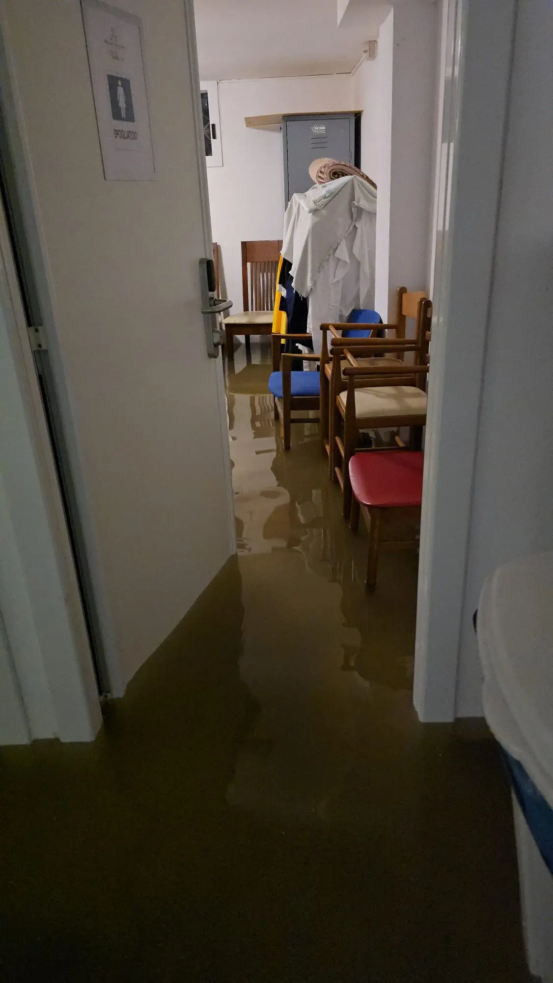 Le piogge intense delle prime ore del mattino hanno colpito duramente la costa friulana, in particolare la zona di Lignano Riviera. La situazione più critica si è registrata lungo via Casablanca, dove l’acqua ha invaso la carreggiata creando notevoli disagi alla circolazione. Tra le strutture coinvolte c’è anche l’Hotel Arizona, sommerso dall’acqua come documentano le immagini giunte in redazione. L’ondata di maltempo, che interessa tutta la regione sotto allerta arancione, non ha risparmiato nemmeno Bibione, dove si segnalano allagamenti e danni a esercizi e abitazioni private.