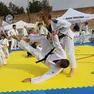 Judo Treviso