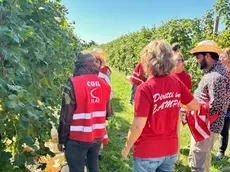 Alcuni lavoratori insieme ai sindacalisti della Flai Cgil Treviso