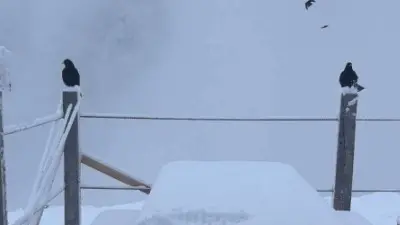 La nevicata nel Bellunese