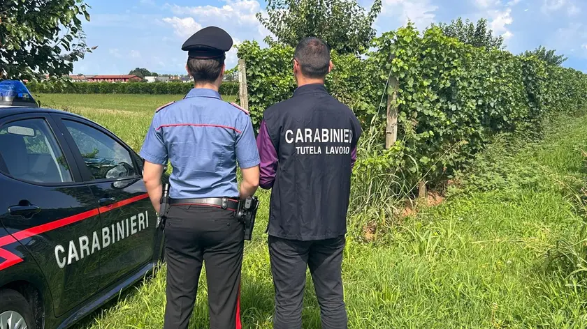 Caporalato, controlli nei vigneti della provincia di Treviso
